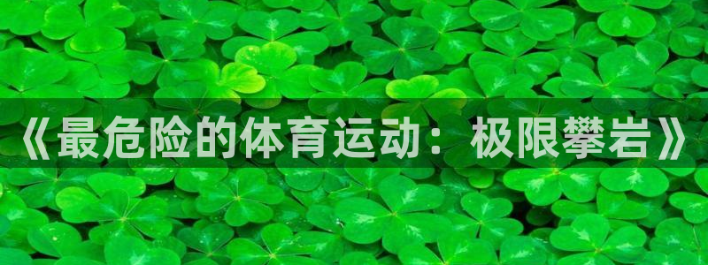 米兰体育官方正版app娱乐代理怎么样:《最危险的体育运动:极