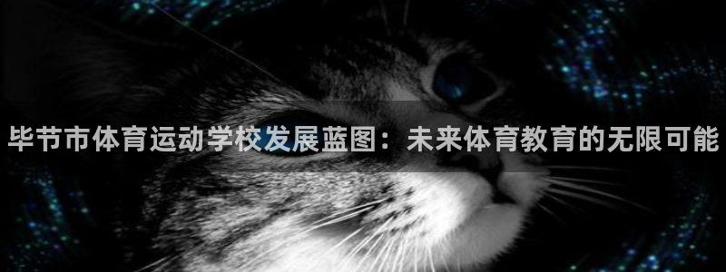 米兰体育官网下载平台注册要钱吗安全吗:毕节市体育运动学校发展