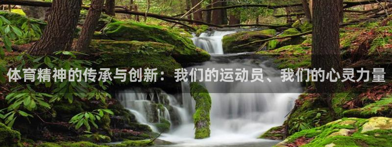 米兰体育官方正版app集团logo:体育精神的传承与创新:我